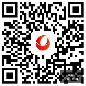 西班牙与德,国女篮对决,世界杯赛事,半岛体育,半岛平台,体育娱乐,半岛网页版,体育比分